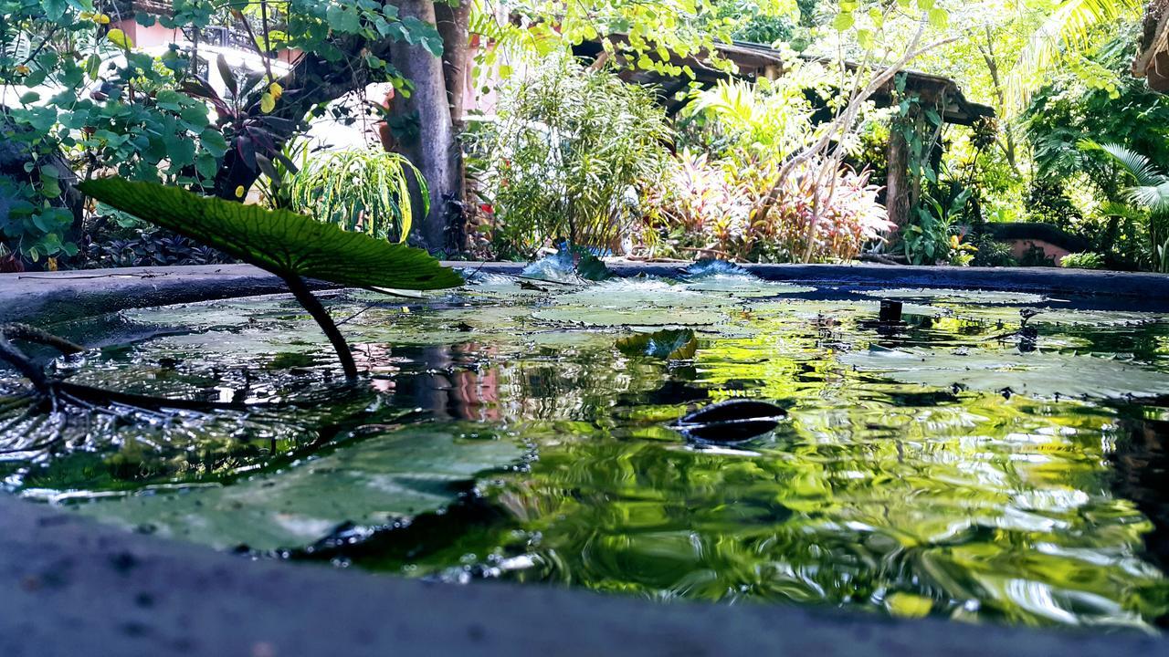 Casa Hotel Mare Nostrvm Manuel Antonio Exteriör bild